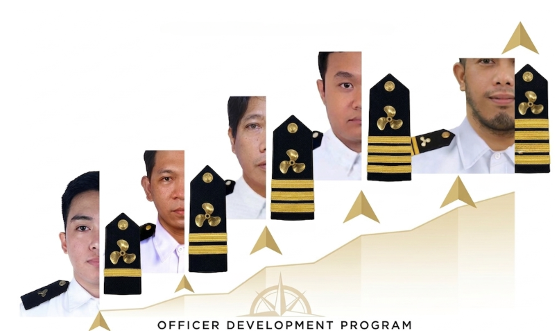 Crew Career